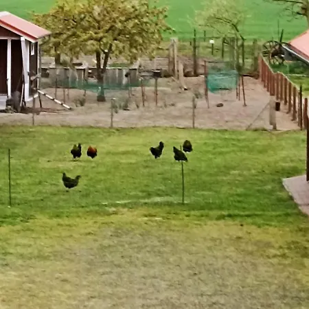 Appartement Gemuetliche Am Wald *